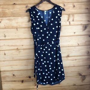 Polka Dot Navy Dress